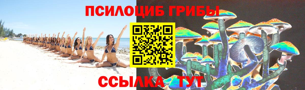 Галлюциногенные грибы Cubensis  Вход с VPN  Черемхово 